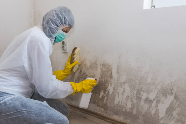 Best Water Damage Restoration  in Gun Barrel City, TX
