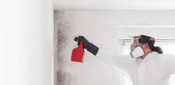 Best Mold Testing  in Gun Barrel City, TX