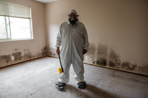 Best Mold Remediation  in Gun Barrel City, TX