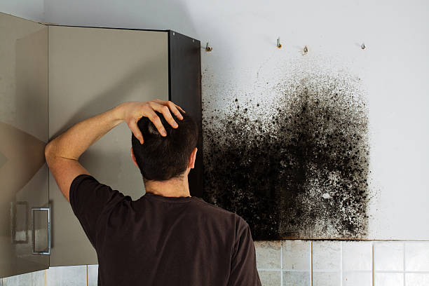 Best Commercial Mold Removal  in Gun Barrel City, TX